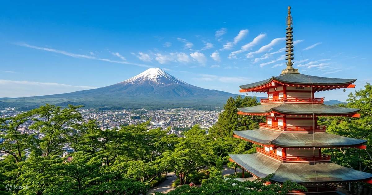 富士山二湖自然体験日帰りツアー｜大石公園＆忍野八海＆山中湖白鳥餌